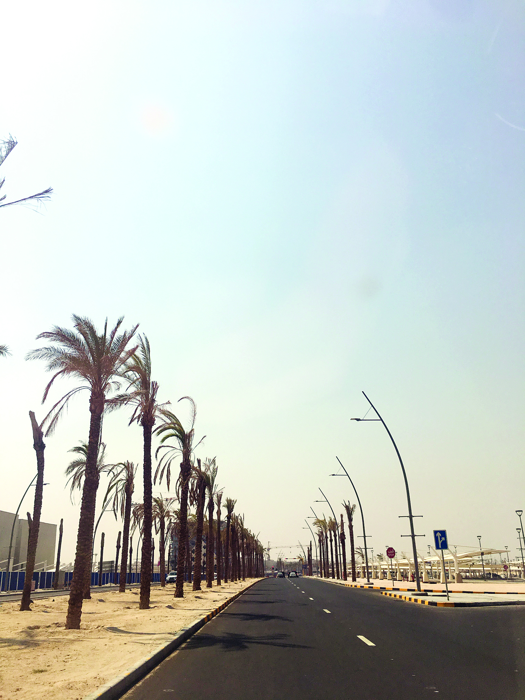 u0646u062eu064au0644 u0627u0644u0634u062fu0627u062fu064au0629 u064au0628u0633 u0642u0628u0644 u0623u0646 u064au062au0634u0628u062b u0628u0627u0644u0623u0631u0636