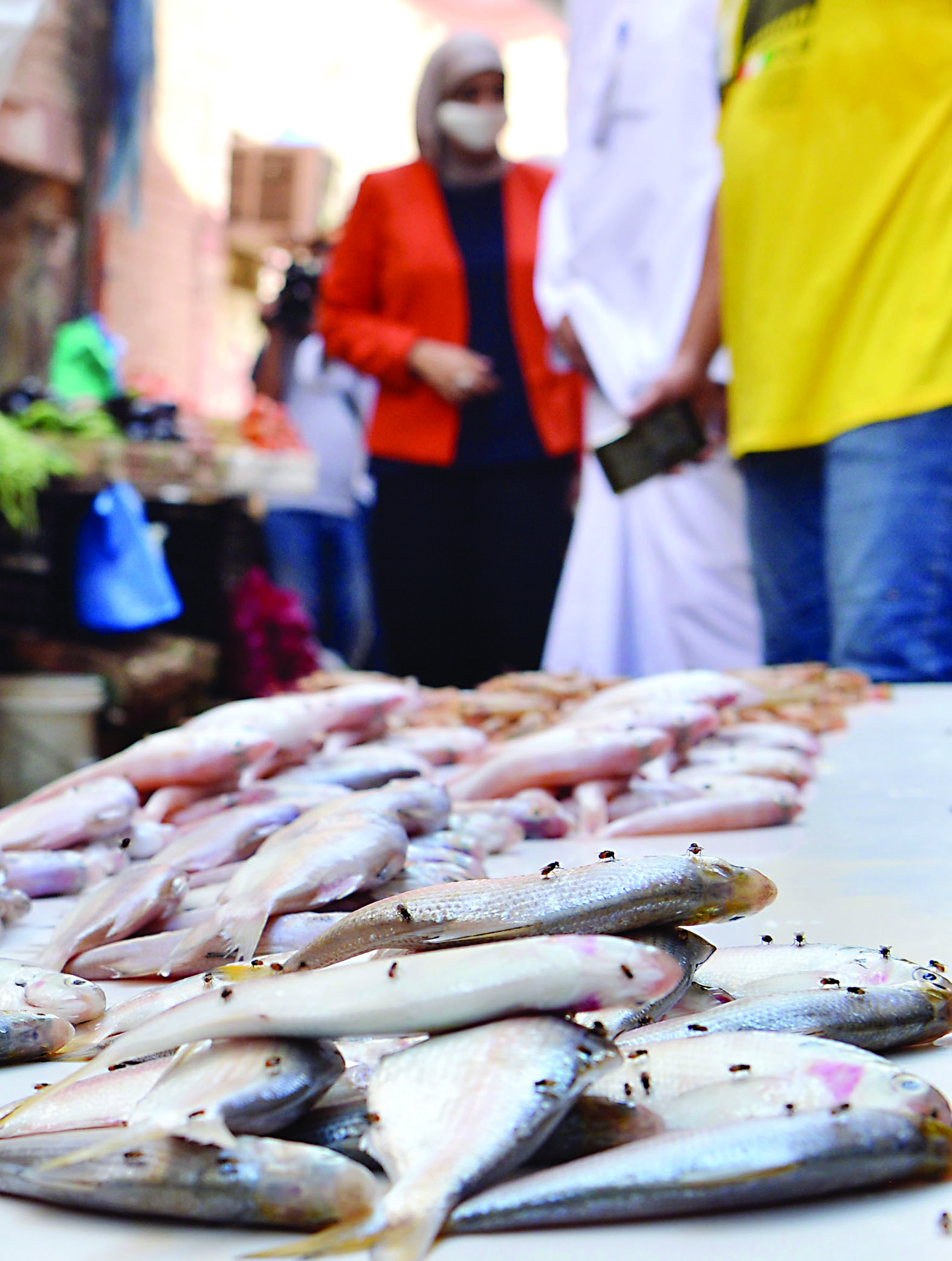 u0627u0644u0630u0628u0627u0628 u0641u0648u0642 u0623u0633u0645u0627u0643 u0641u0627u0633u062fu0629 u0645u0639u0631u0648u0636u0629 u0644u0644u0628u064au0639!    t            (u062au0635u0648u064au0631 u0646u0627u064au0641 u0627u0644u0639u0642u0644u0629)