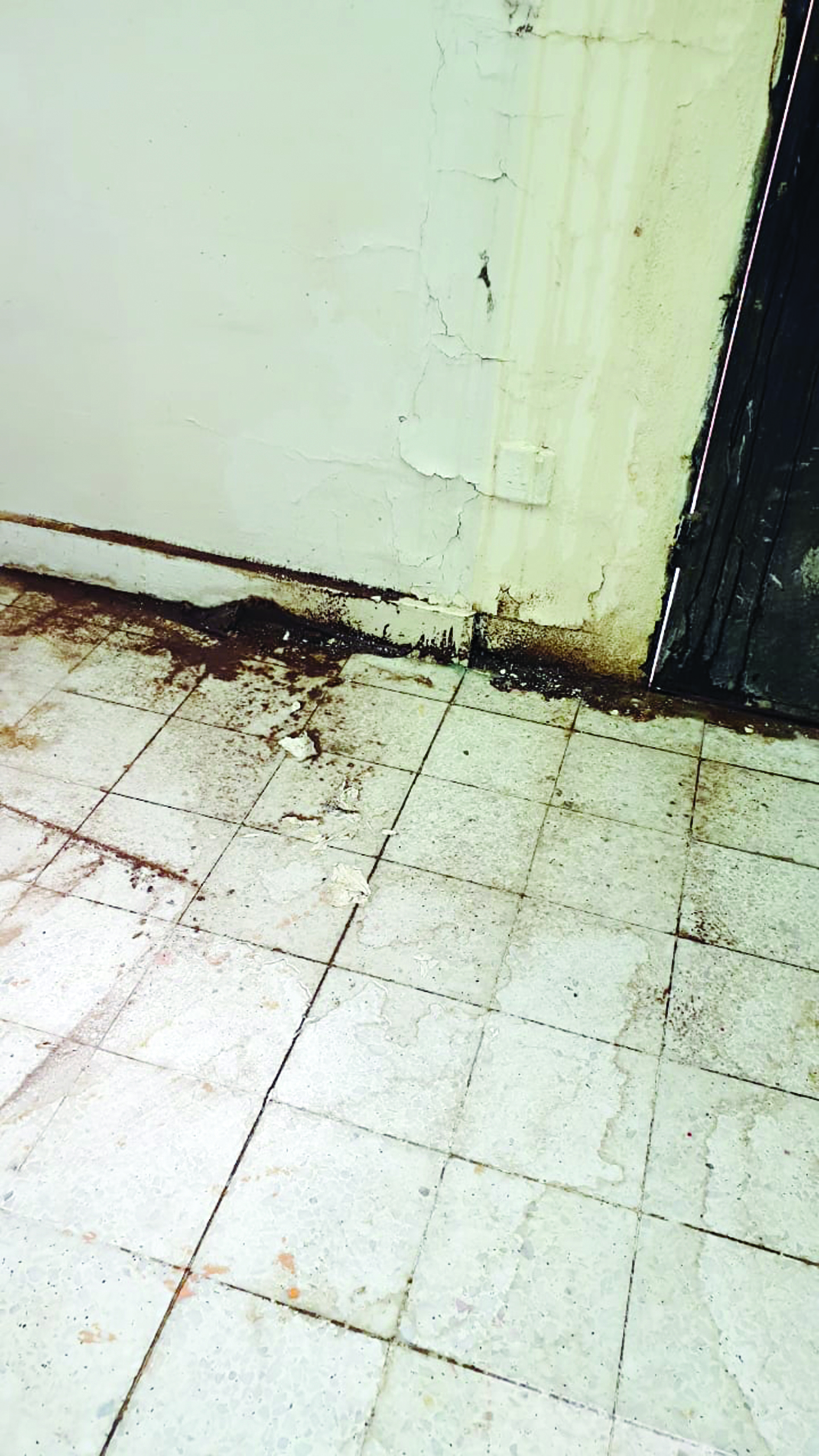 u0623u0631u0636u064au0629 u0641u0635u0644 u0641u064a u062du0627u0644 u064au0631u062bu0649 u0644u0647u0627