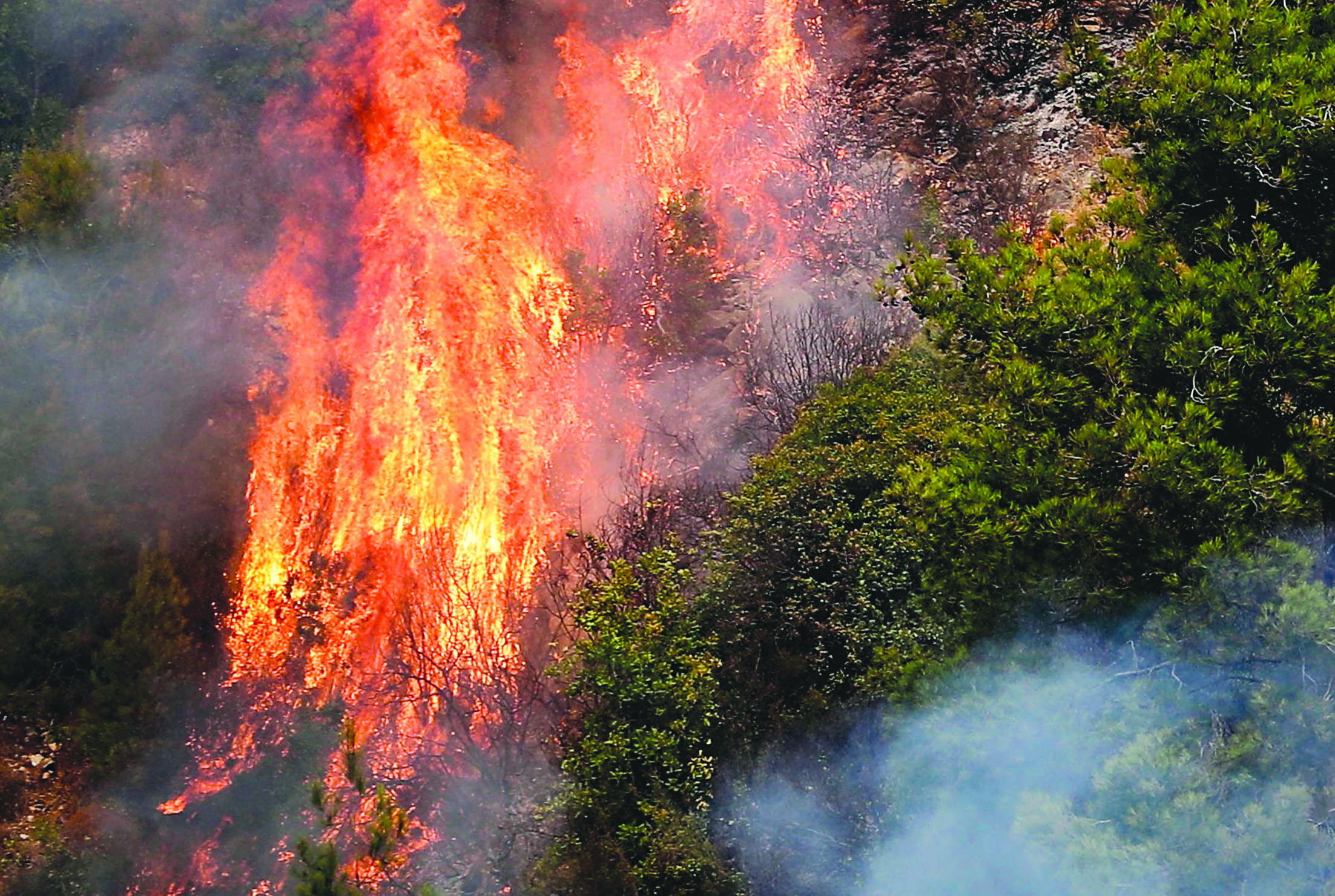 u0627u0644u0646u0627u0631 u0645u0633u062au0639u0631u0629 u0623u0645u0633 u0641u064a u0625u062du062fu0649 u063au0627u0628u0627u062a u0627u0644u062fu0627u0645u0648u0631 u062cu0646u0648u0628 u0628u064au0631u0648u062at (u0623 u0641 u0628) 