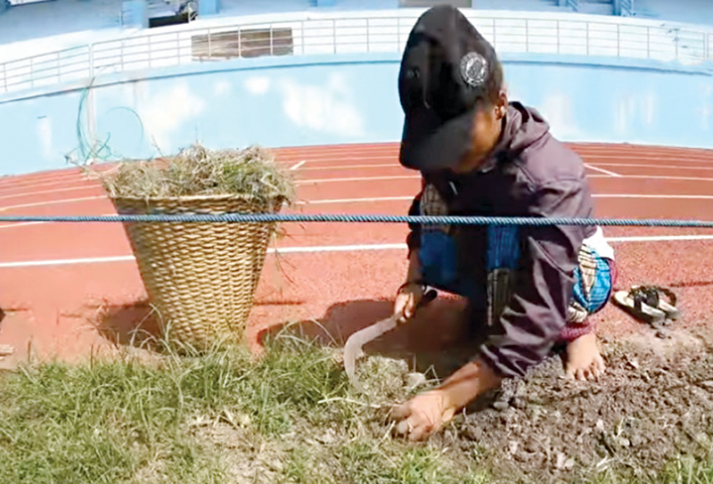 u0639u0627u0645u0644u0629 u0646u064au0628u0627u0644u064au0629 u062au0642u0648u0645 u0628u0623u0639u0645u0627u0644 u0625u0635u0644u0627u062d u0623u0631u0636u064au0629 u0645u0644u0639u0628 u062fu0627u0634u0631u0627u062b u0641u064a u0643u0627u062au0645u0627u0646u062fu0648  