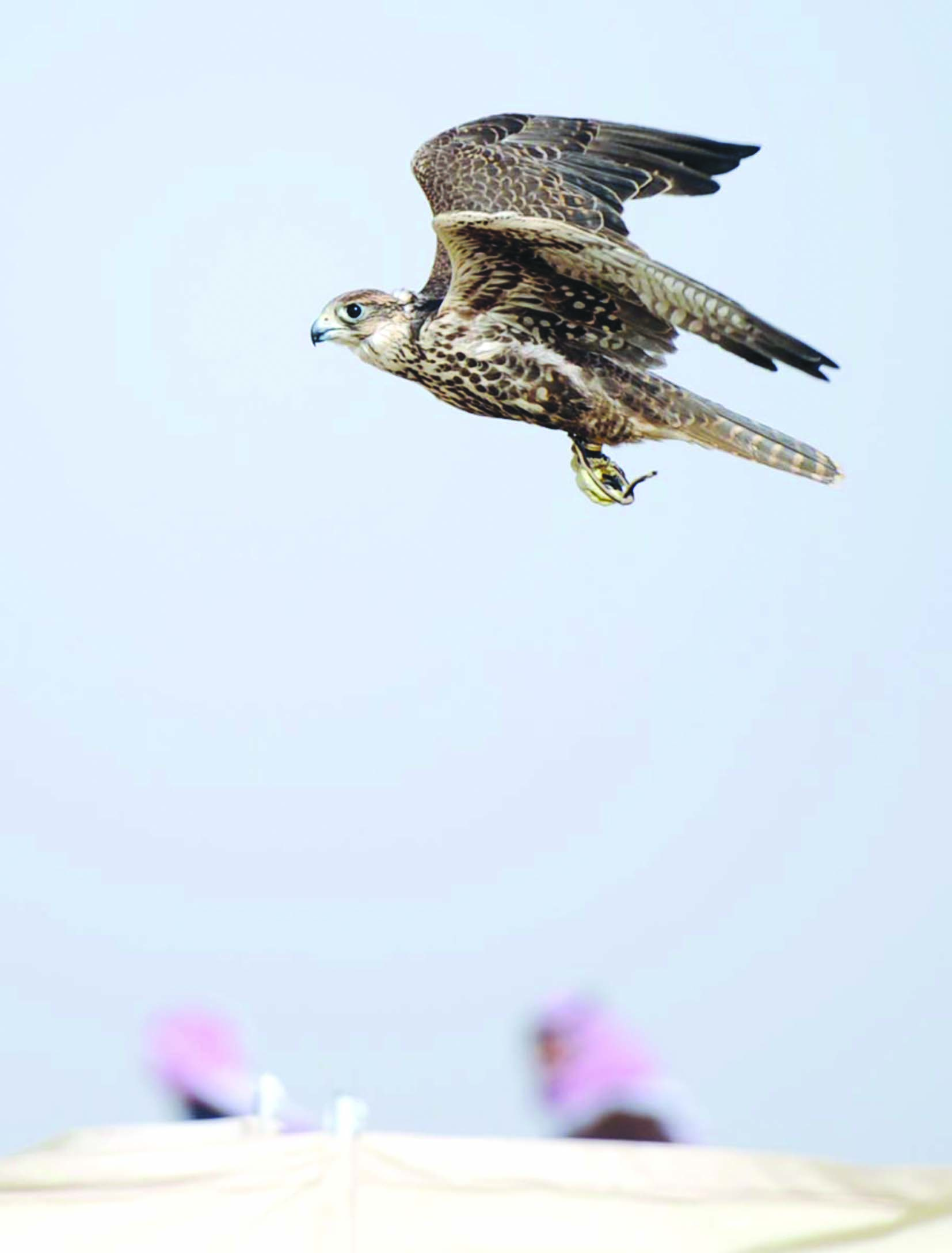 u062au062du0644u064au0642 u0633u0631u064au0639