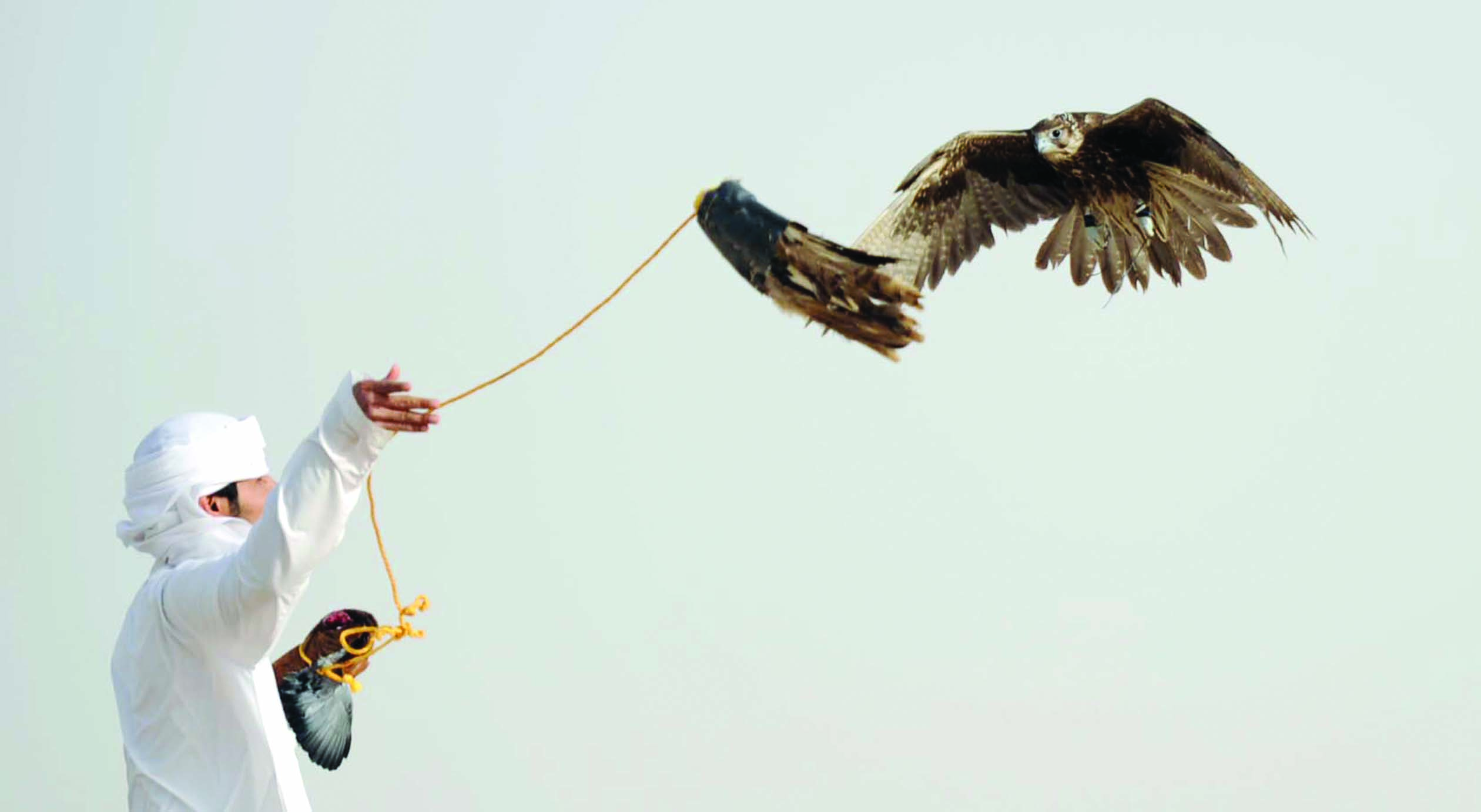 ... نحو الهدف