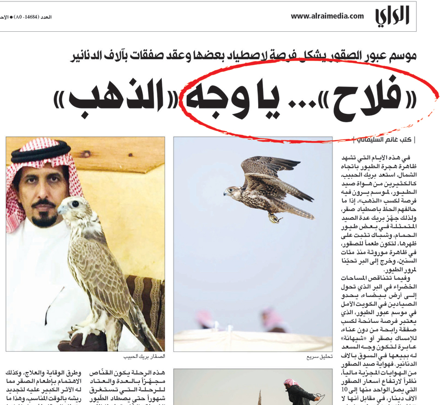 u062au062du0642u064au0642 u00abu0627u0644u0631u0627u064au00bb u0627u0644u0630u064a u062au0641u0627u0639u0644u062a u0645u0639u0647 u0627u0644u0647u064au0626u0629