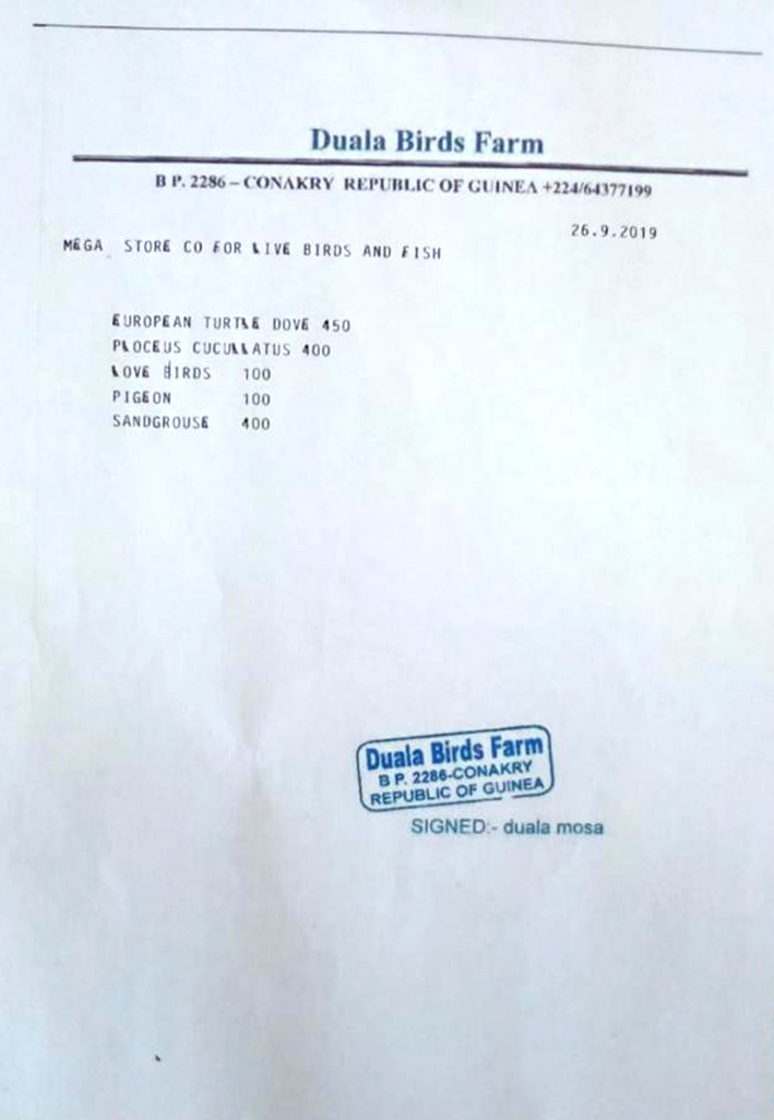 u0641u0627u062au0648u0631u0629 u0645u0632u0648u0651u0631u0629