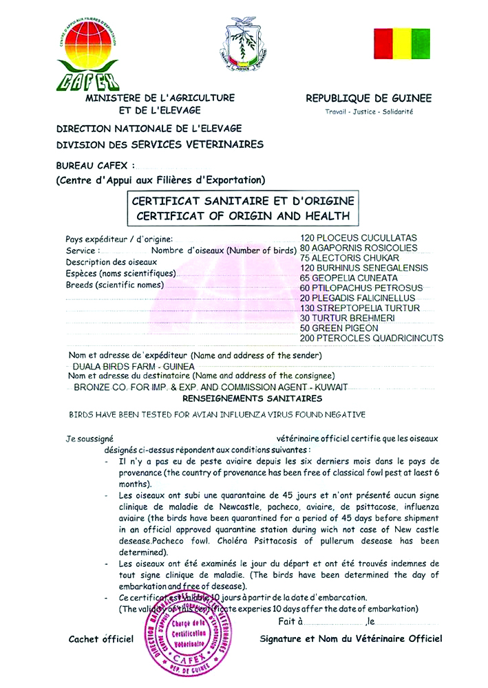 شهادة منشأ مزوّرة