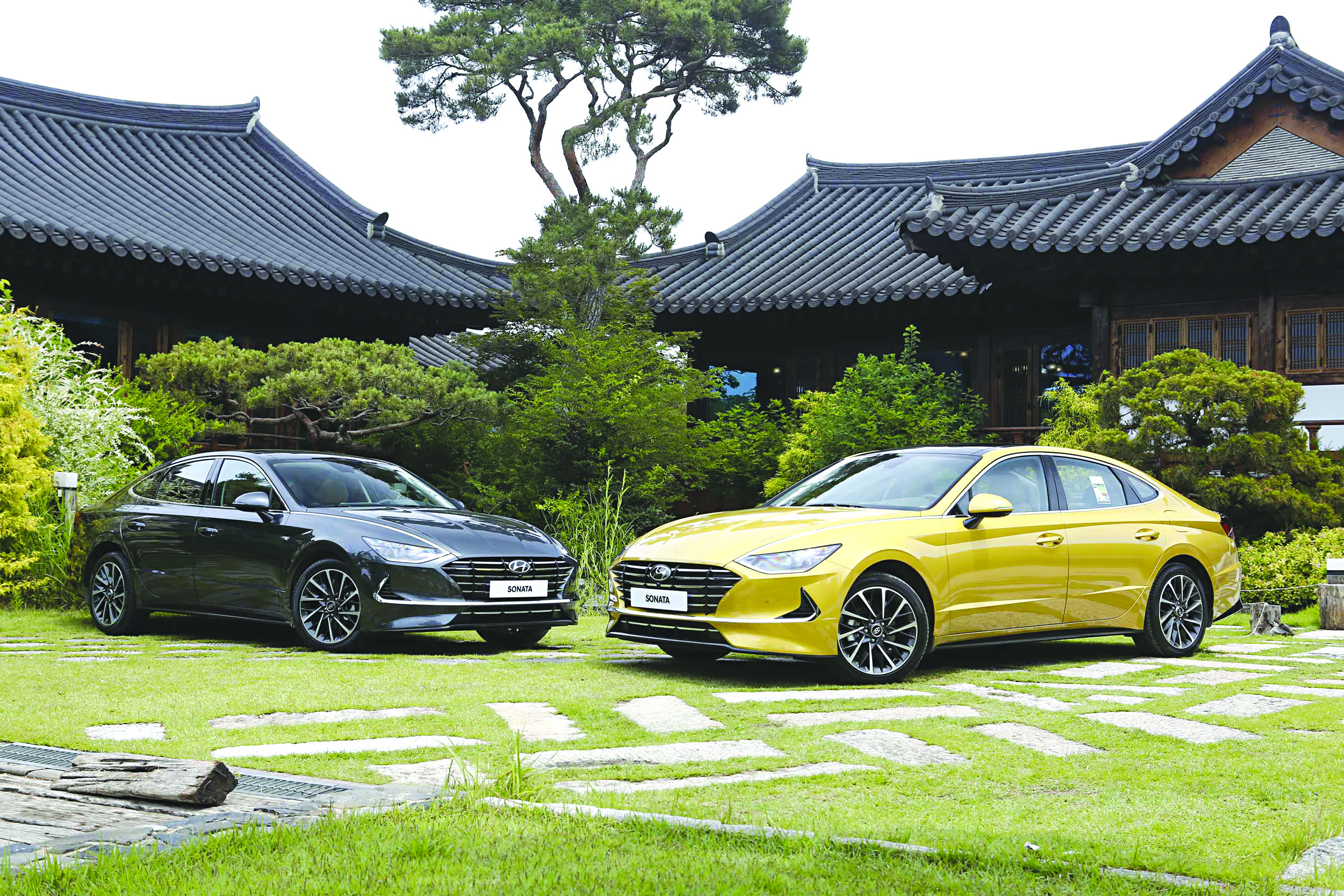 «سوناتا»... الرائعة 