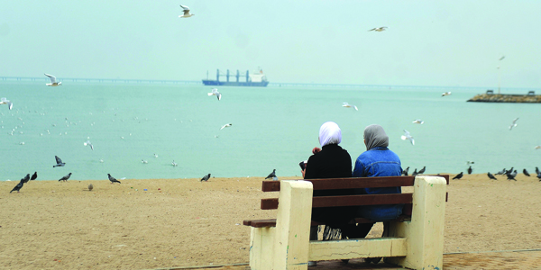 u0637u064au0648u0631 u0648u0623u062cu0648u0627u0621 u062cu0645u064au0644u0629 u0639u0644u0649 u0627u0644u0634u0627u0637u0626 t(u062au0635u0648u064au0631 u0628u0633u0627u0645 u0632u064au062fu0627u0646)