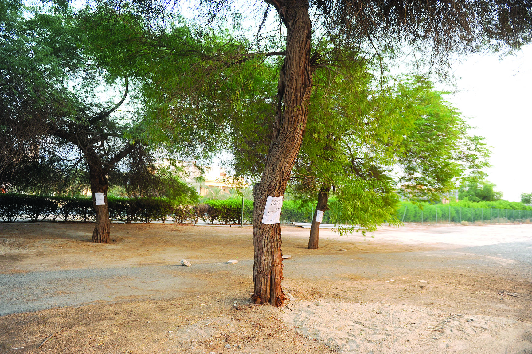 u0644u0627u0641u062au0627u062a u0644u0644u062du0641u0627u0638 u0639u0644u0649 u0627u0644u0623u0634u062cu0627u0631