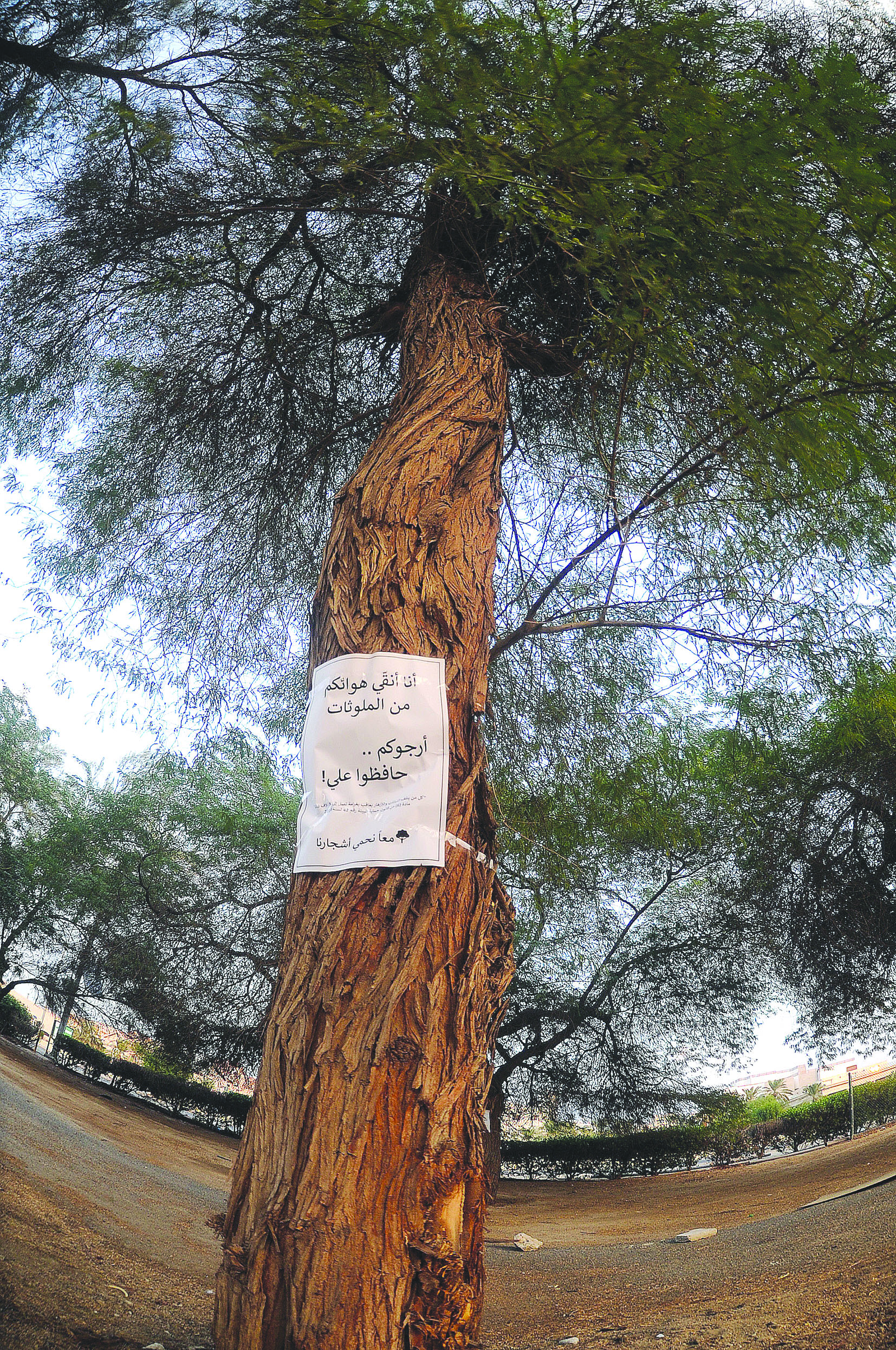 «أنا أنقي هواءكم من الملوثات»