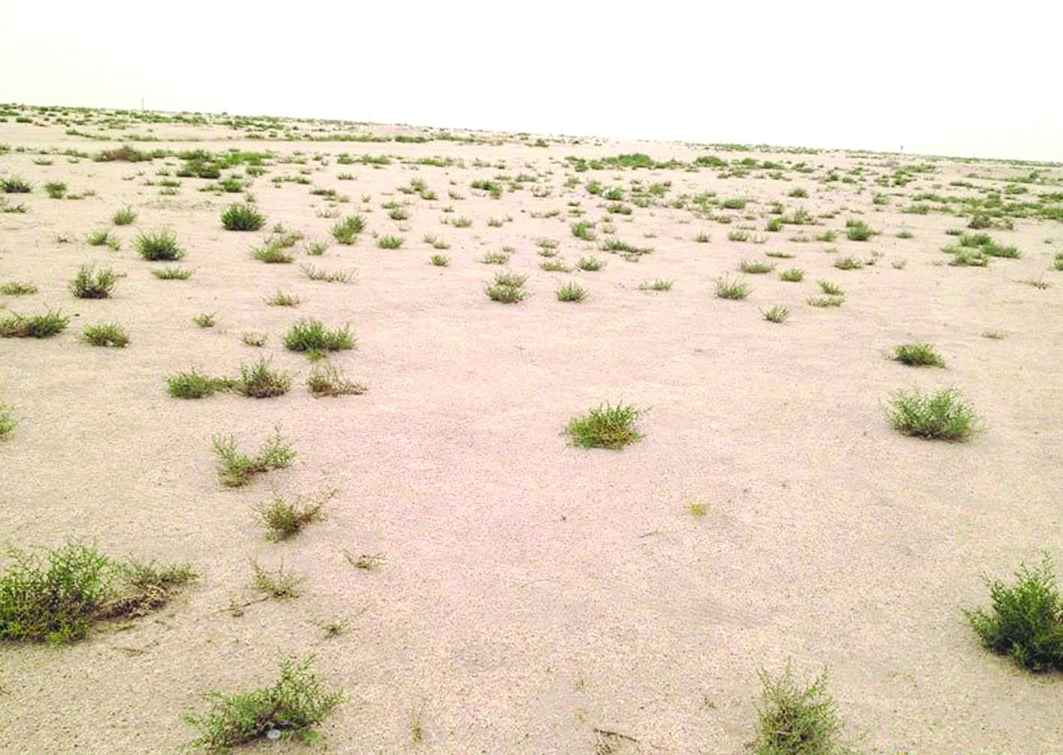 u0623u0645u0637u0627u0631 u0627u0644u0639u0627u0645 u0627u0644u0645u0627u0636u064a u0642u0644u0644u062a u0646u0633u0628u0629 u0627u0644u062au0635u062du0631