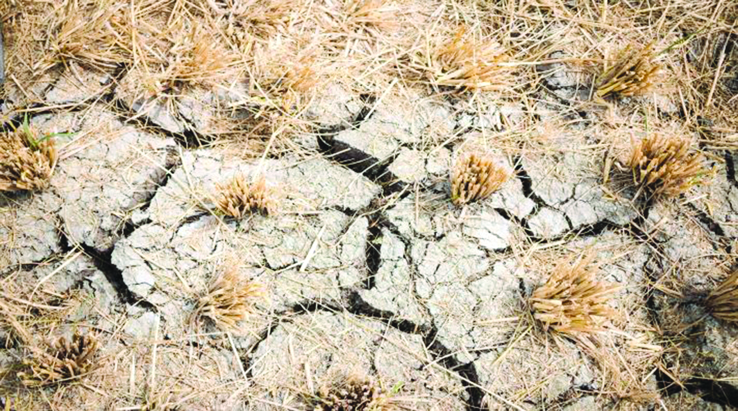 أسباب طبيعية وبشرية لزيادة مظاهر التصحر