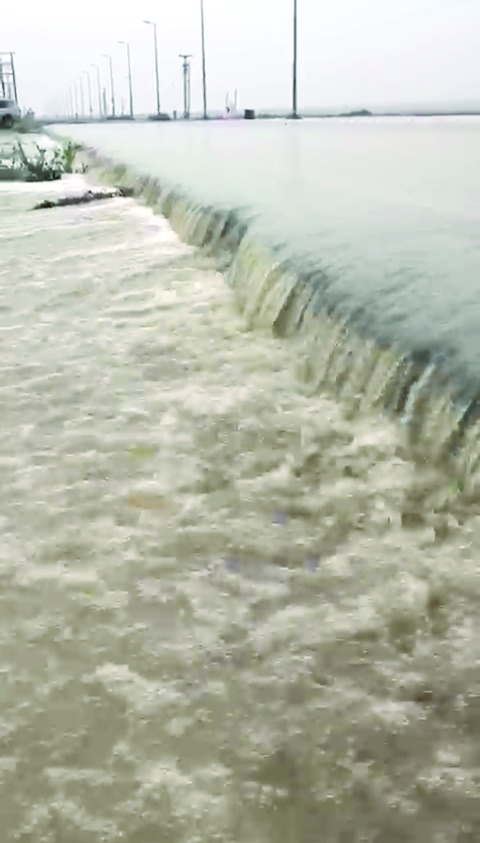 سيول العبدلي