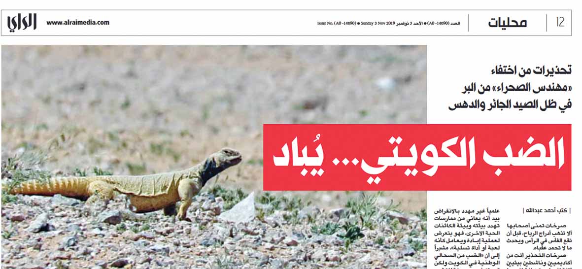 u062au0642u0631u064au0631 u00abu0627u0644u0631u0627u064au00bb u0641u064a 3 u0646u0648u0641u0645u0628u0631 u0627u0644u0645u0627u0636u064a