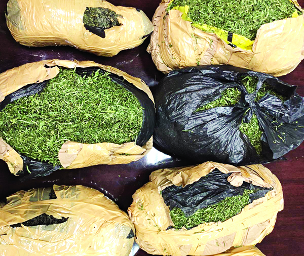 u0627u0644u0642u0627u062a u0627u0644u0645u0636u0628u0648u0637