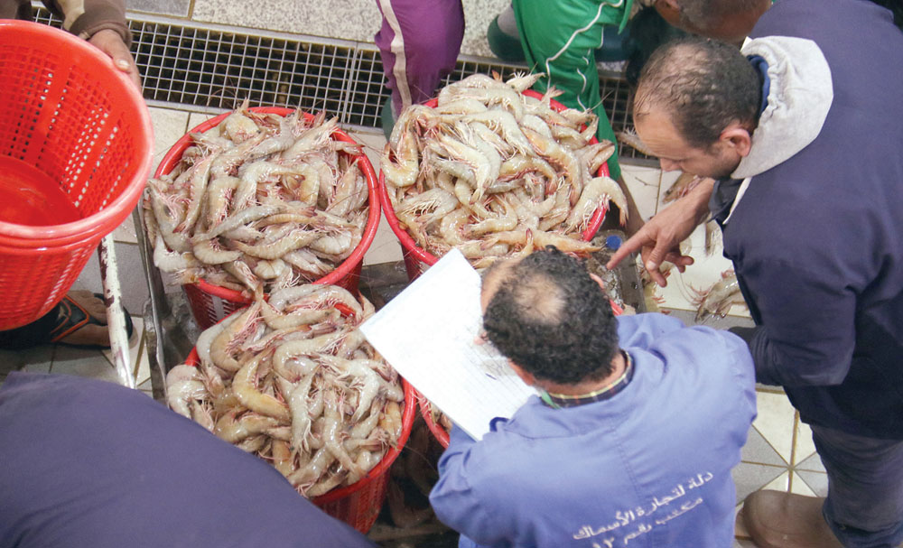 آخر سلال الربيان المحلي	 (تصوير سعود سالم)