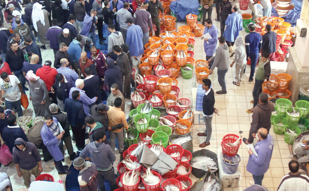 مزاد العصر... أسماك متنوعة