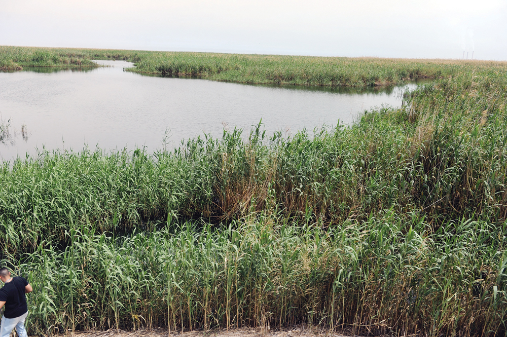 u0645u062du0645u064au0629 u0627u0644u062cu0647u0631u0627u0621 u0639u0644u0649 u0627u0644u0642u0627u0626u0645u0629 u0627u0644u062eu0636u0631u0627u0621