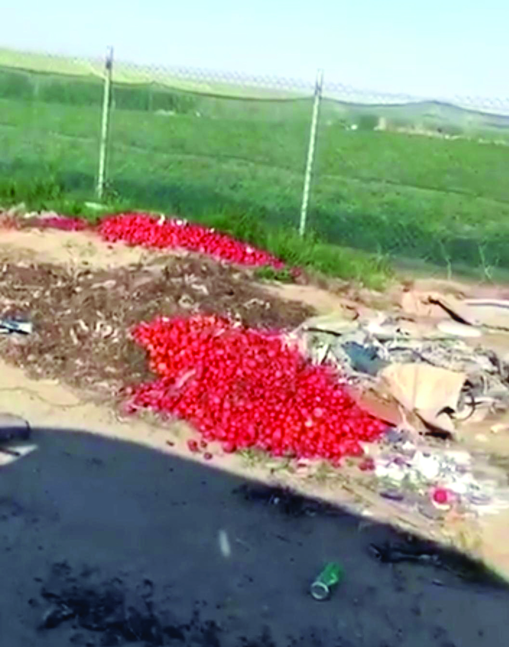 u0627u0644u0637u0645u0627u0637u0645 u0627u0644u0645u0644u0642u0627u0629 u0623u0645u0627u0645 u0627u0644u0645u0632u0627u0631u0639