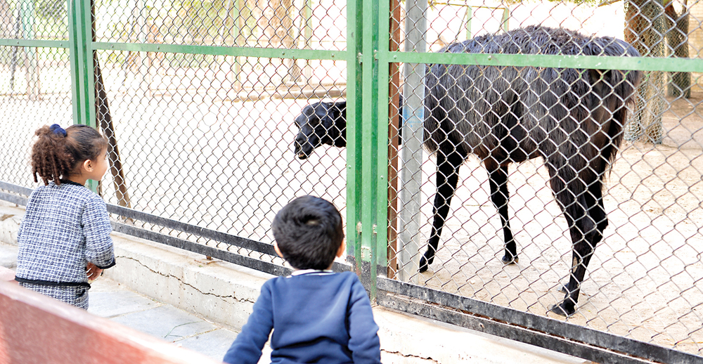 تبادل نظرات