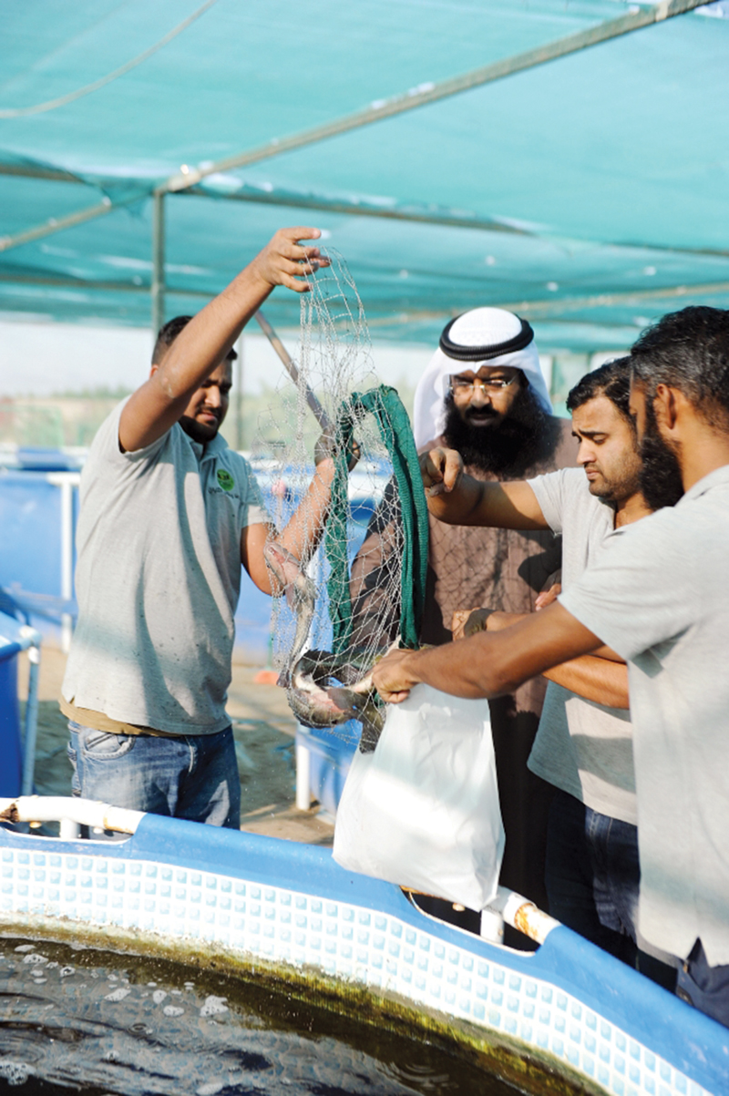 متابعة واهتمام 