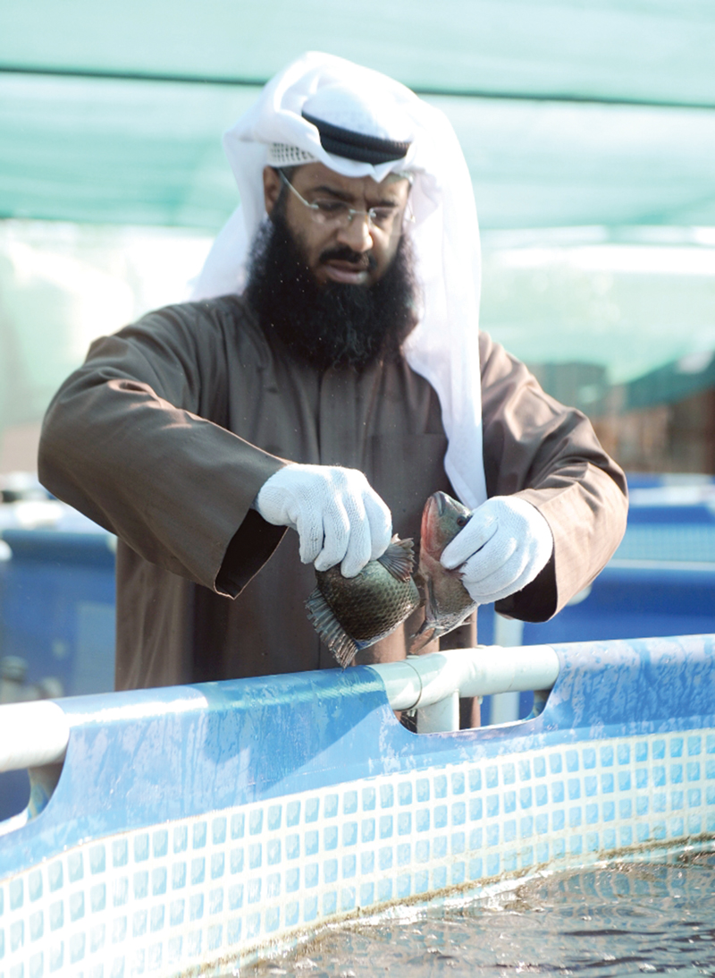 أبو سلمان ومعشوقته «البلطي»