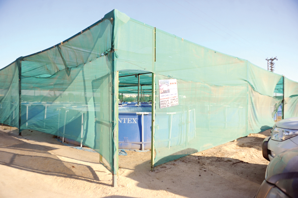 فكرة بسيطة قللت التكاليف 