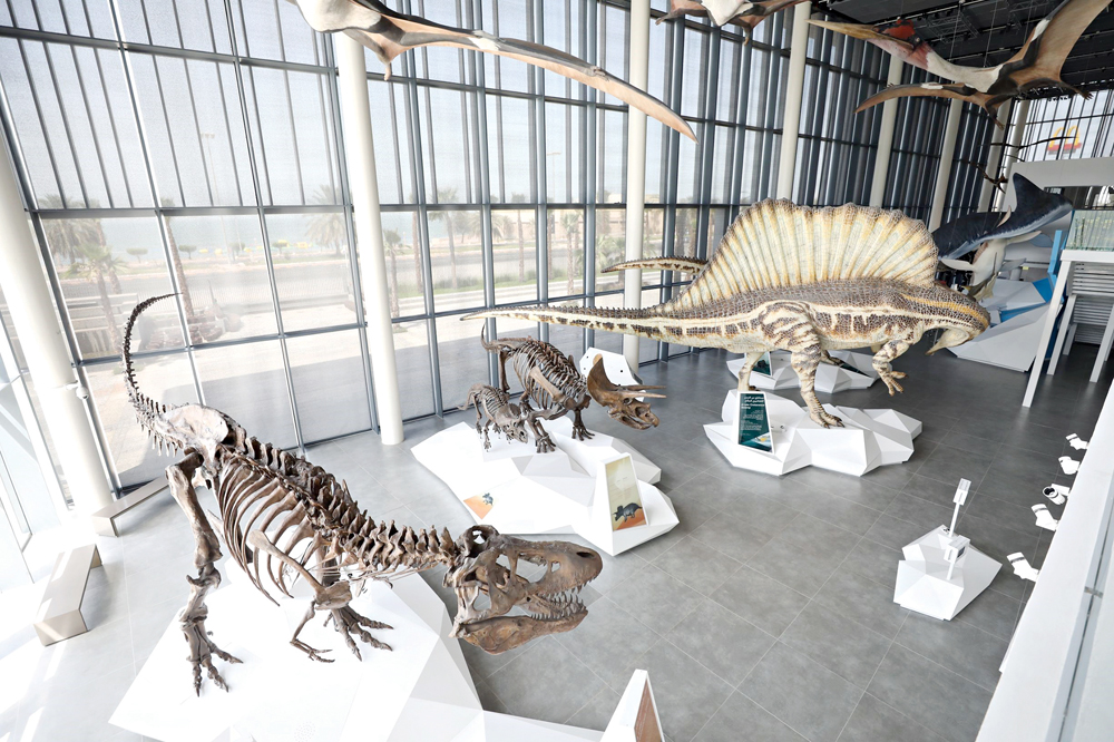 أجيال الديناصورات في متحف التاريخ الطبيعي 