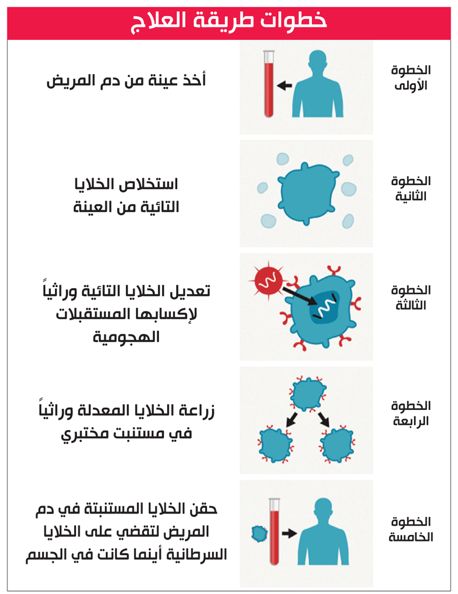 u0627u0644u0645u0635u062fu0631: u0648u062du062fu0629 u0623u0628u062du0627u062b u0634u0628u0643u0629 u00abu0628u064a u0628u064a u0633u064au00bb