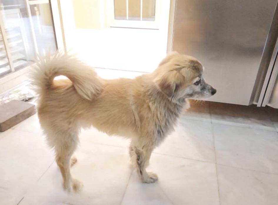 u00abu062fu062du062fu0648u062du00bb... u0627u0644u0645u0641u0642u0648u062f