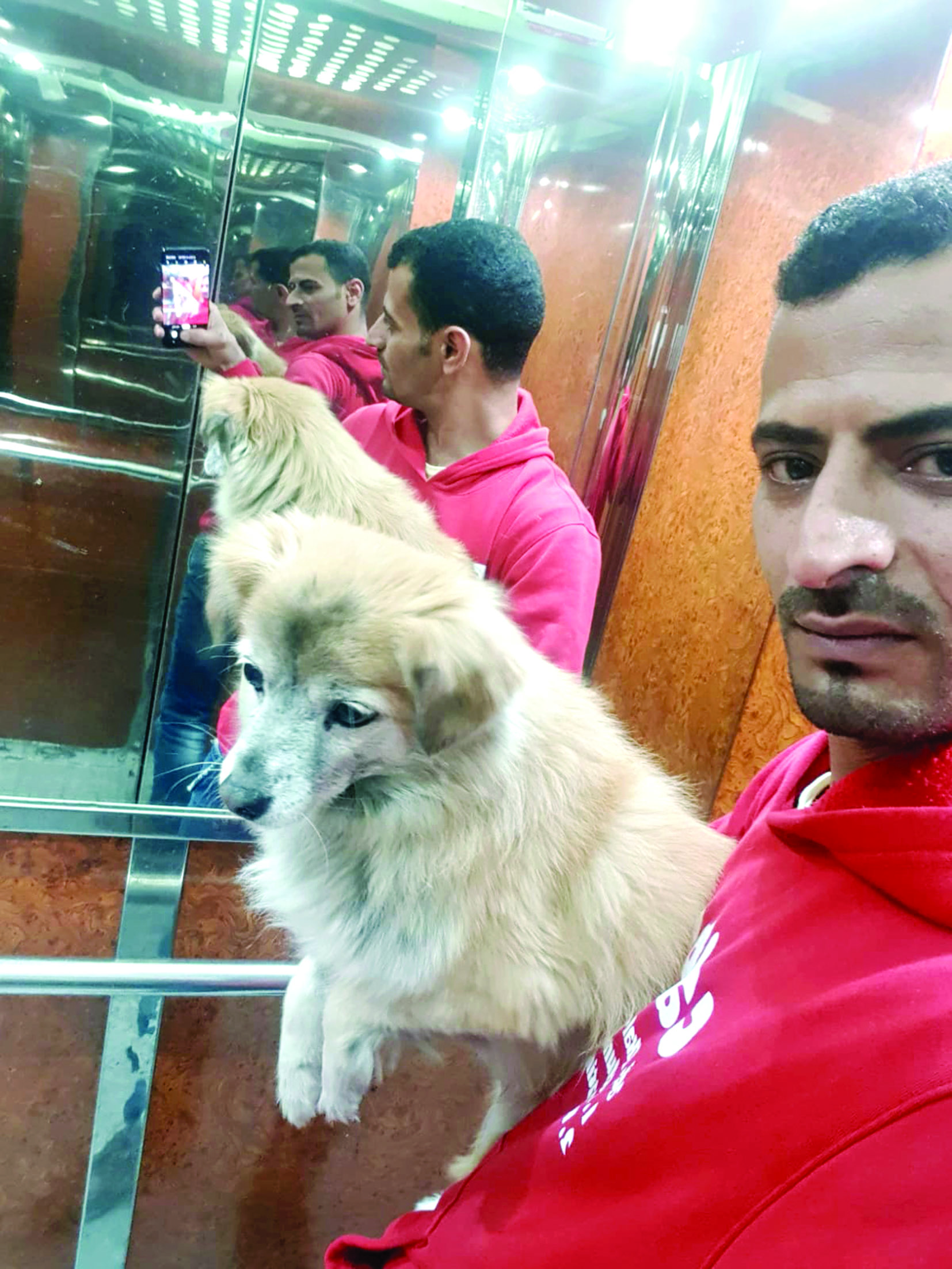 u0627u0644u0645u0635u0631u064a u0623u062du0645u062f u0628u0631u0647u0627u0645 u0628u0639u062f u0639u062bu0648u0631u0647 u0639u0644u0649 u00abu062fu062du062fu0648u062du00bb