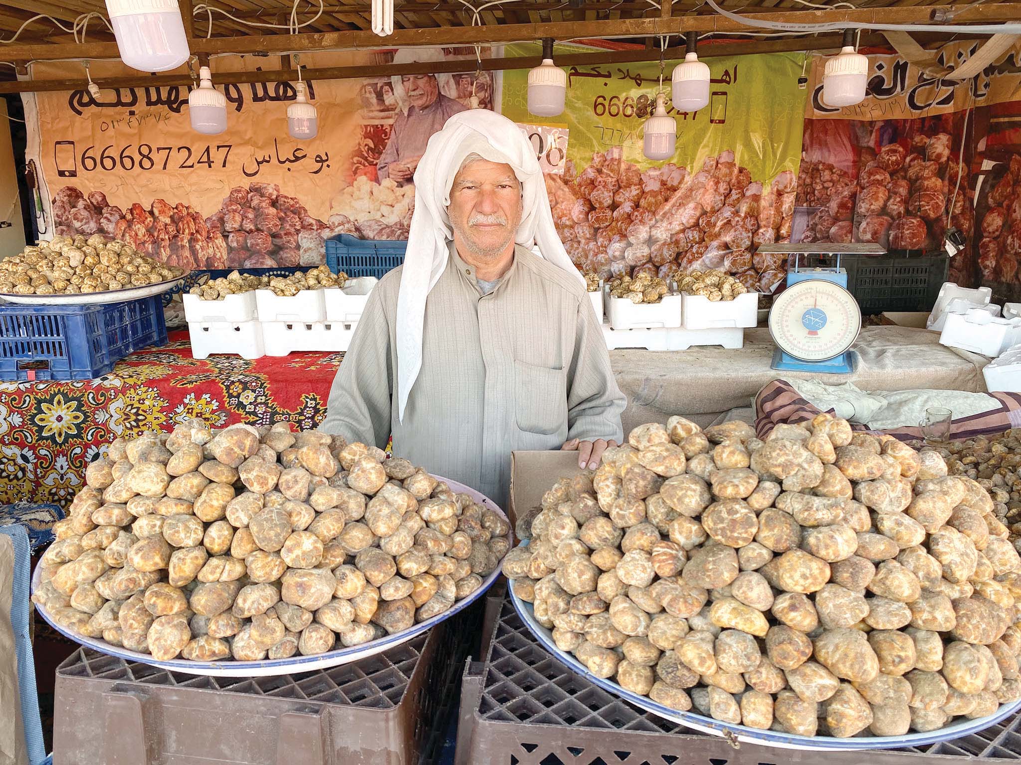 u0639u0628u062fu0627u0644u0632u0647u0631u0627u0621 u0627u0644u0646u0648u0631u064a u0645u0639 u0627u0644u0641u0642u0639