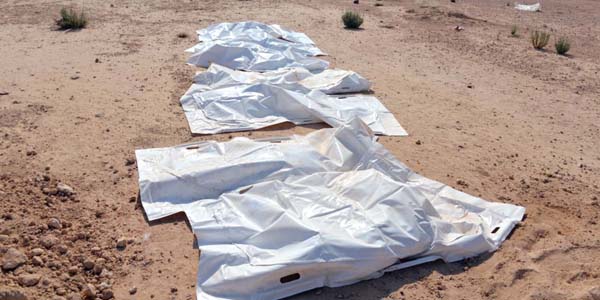 u0627u0644u0631u0641u0627u062a u0627u0644u062au064a u0639u062bu0631 u0639u0644u064au0647u0627 u0641u064a u0627u0644u0633u0645u0627u0648u0629