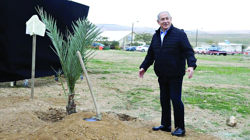 u0646u062au0646u064au0627u0647u0648 u064au0632u0631u0639 u0634u062cu0631u0629 u0646u062eu0644 u0641u064a u063au0648u0631 u0627u0644u0623u0631u062fu0646t (u0631u0648u064au062au0631u0632)