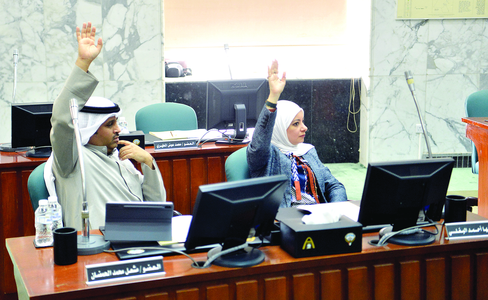 التصويت على المادة 25 