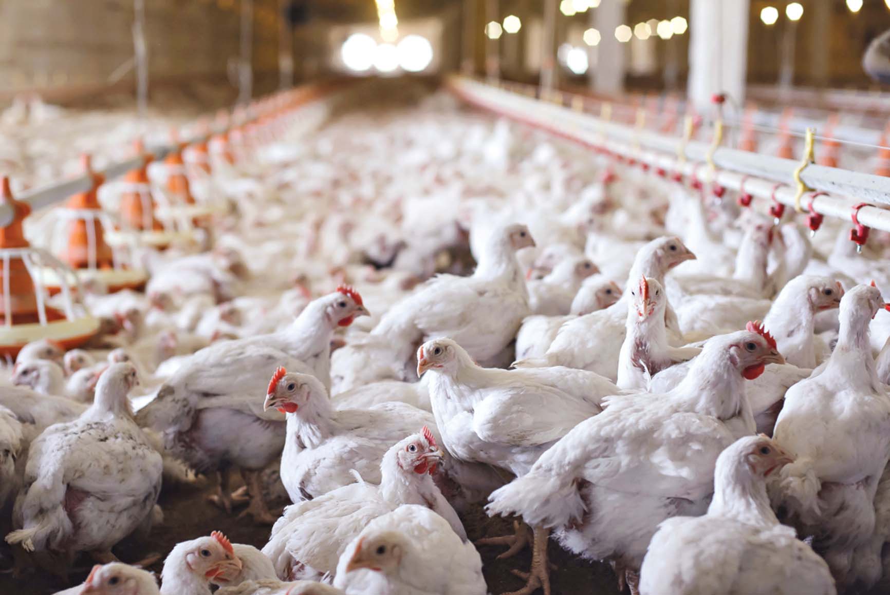 u0627u0644u062fu0648u0627u062cu0646 u0628u0627u062au062a u0646u0627u0641u0630u0629 u0645u0646u0627u062eu064au0629 u0644u0636u0628u0637 u0627u0644u0633u0644u0648u0643 u0627u0644u0627u0633u062au0647u0644u0627u0643u064a