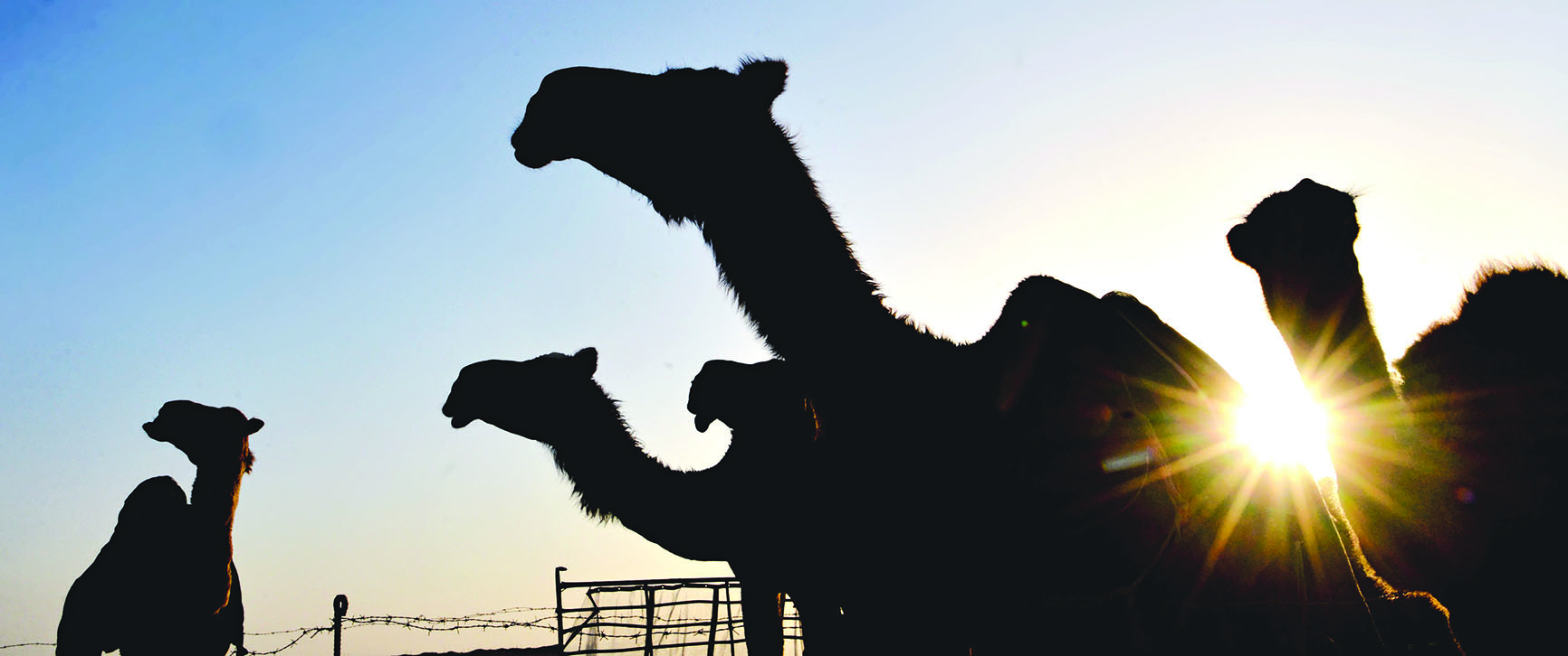 u0623u062du062f u0627u0644u0623u0641u0648u0627u062c u0627u0644u0645u0634u0627u0631u0643u0629 u064au0646u062au0638u0631 u0645u0648u0639u062f u0627u0644u0645u0633u0627u0628u0642u0629t(u062au0635u0648u064au0631 u0646u0627u064au0641 u0627u0644u0639u0642u0644u0629)