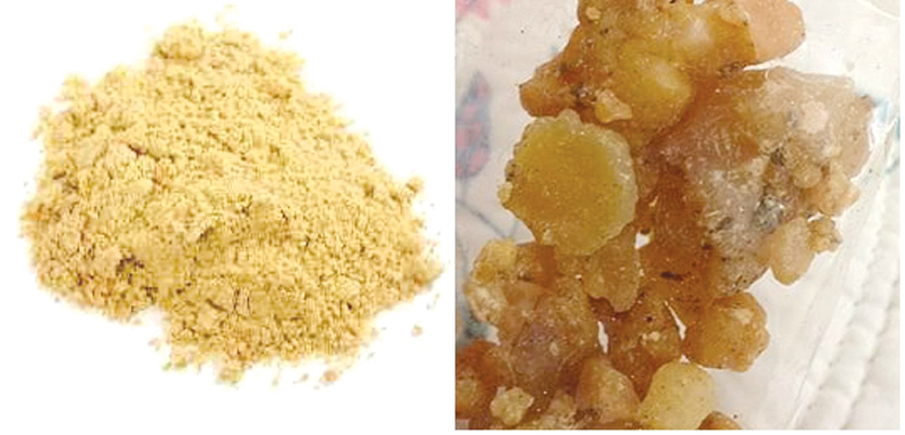 صمغ الحلتيت قاتل قوي جداً للجراثيم وفعال لمختلف الأمراض