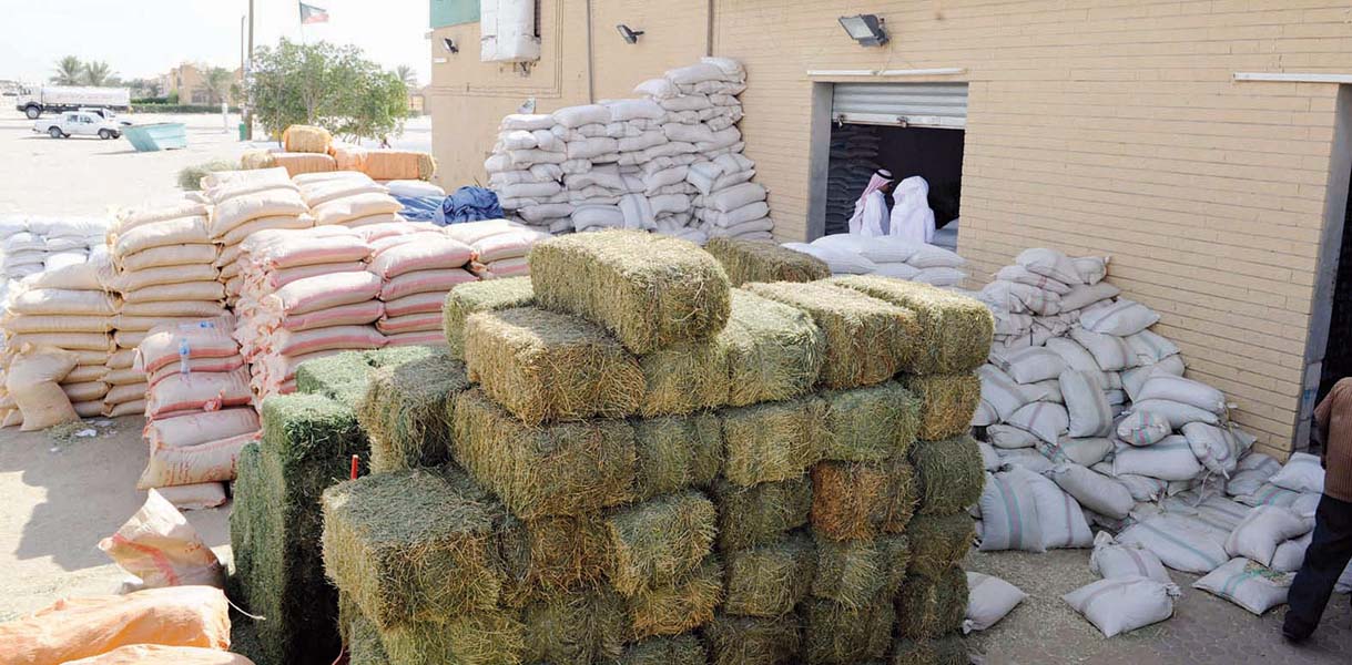 «كورونا» ينعكس على سوق الأعلاف التي ارتفعت أسعارها بشكل ملحوظ