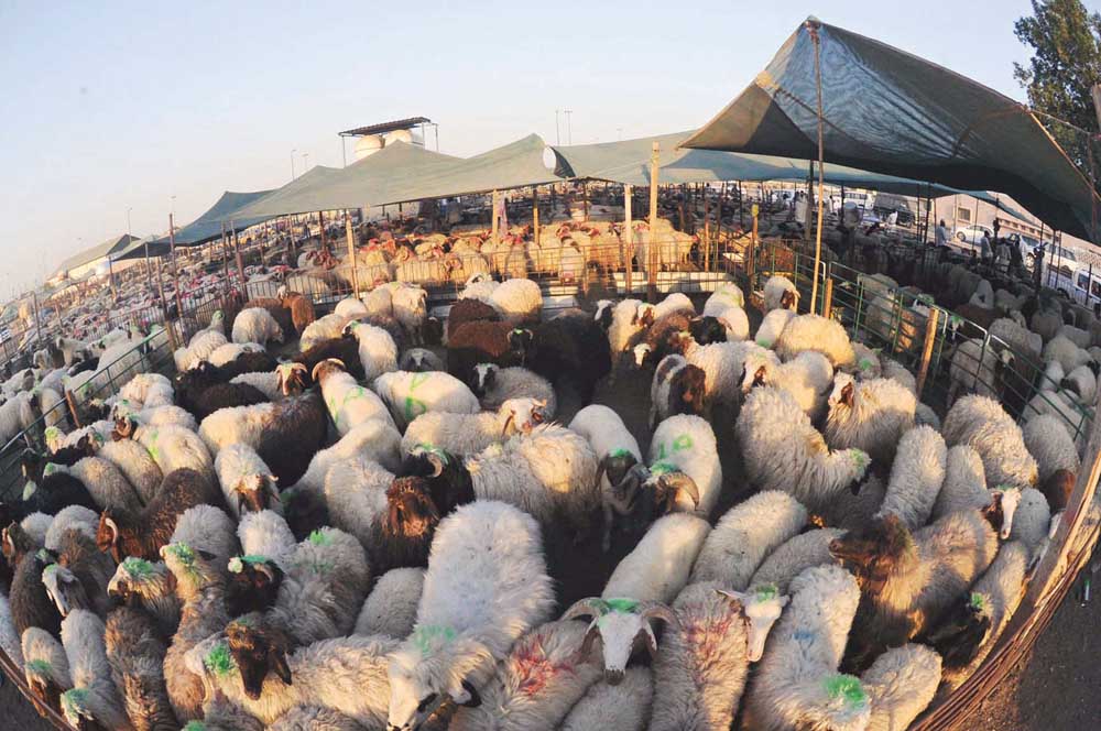 u062au0648u0642u0639u0627u062a u0628u0627u0631u062au0641u0627u0639 u0623u0633u0639u0627u0631 u0627u0644u0644u062du0648u0645 