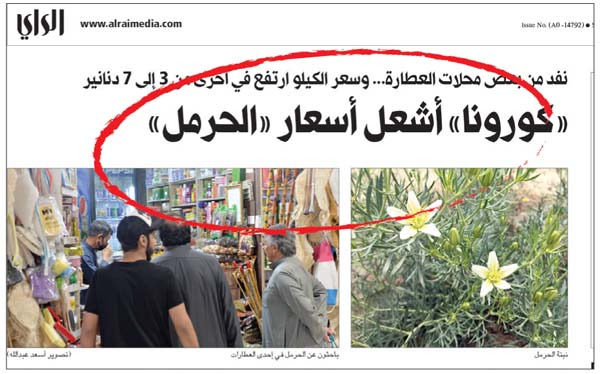 تقرير الراي عن الحرمل أمس