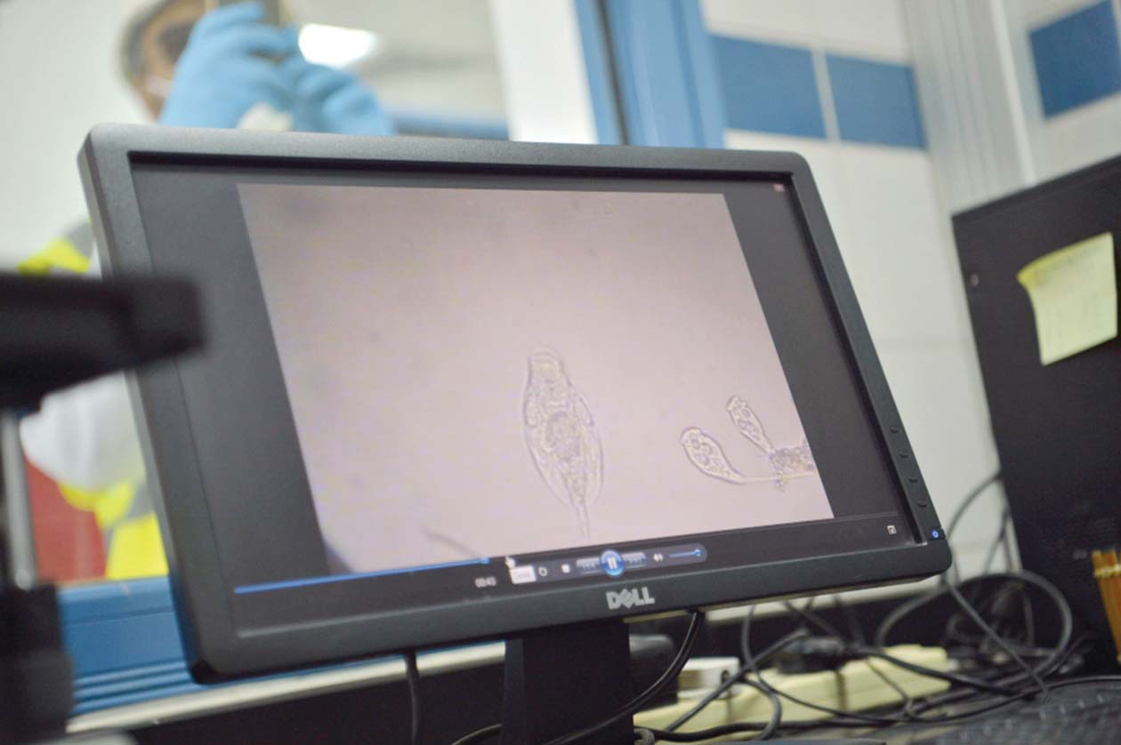 متابعة و رصد الأحياء الدقيقة 