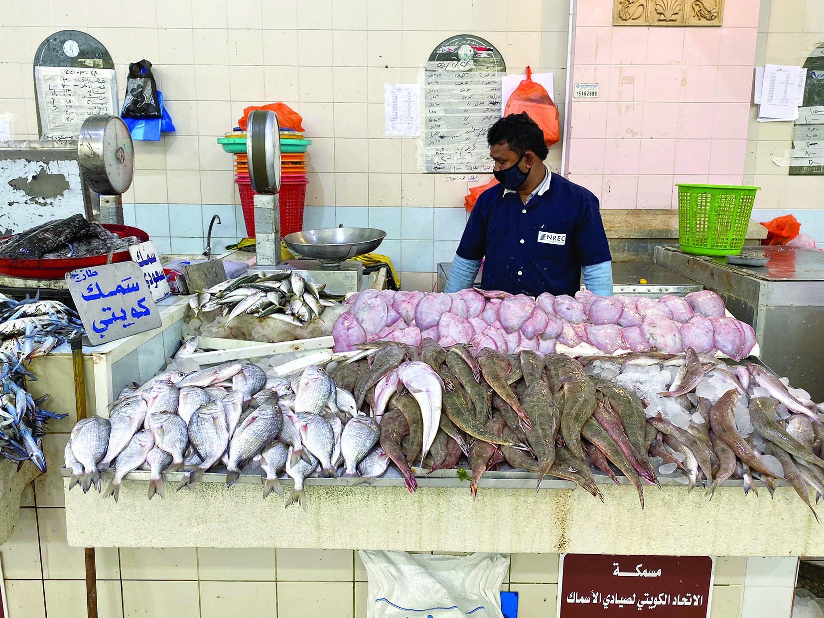 u0627u0644u0633u0645u0643 u0627u0644u0643u0648u064au062au064a u0643u0627u0646 u0642u0644u064au0644u0627u064b u0641u064a u0627u0644u0633u0648u0642 u0623u0645u0633