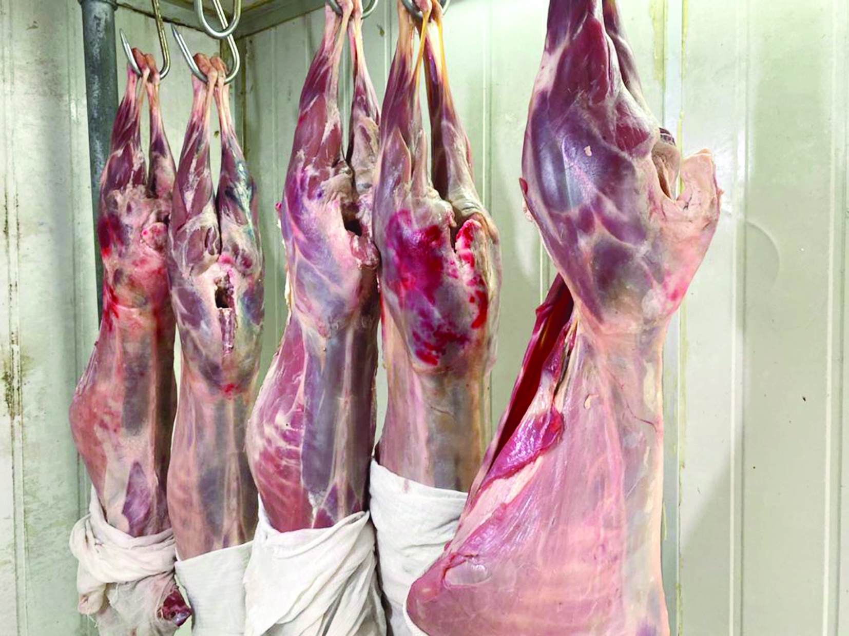 ازدياد الطلب على شراء اللحوم في ظل انتشار «كورونا»