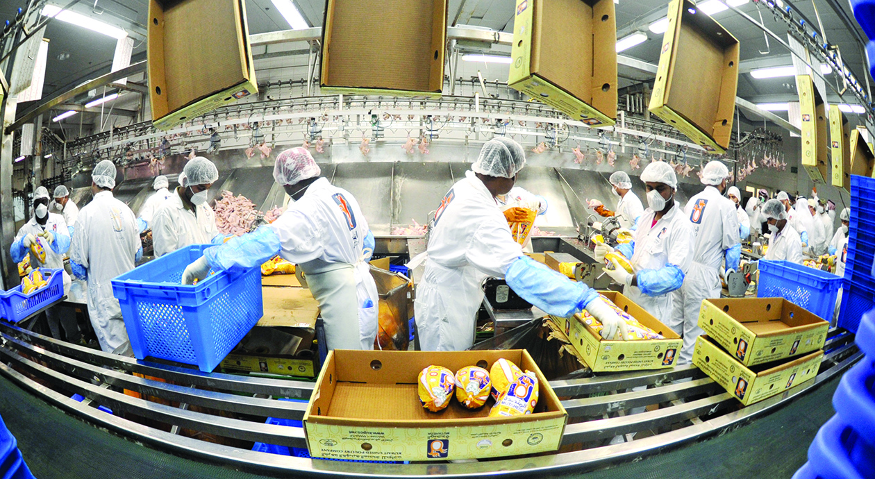 تجهيز الفروج المثلج في كراتين