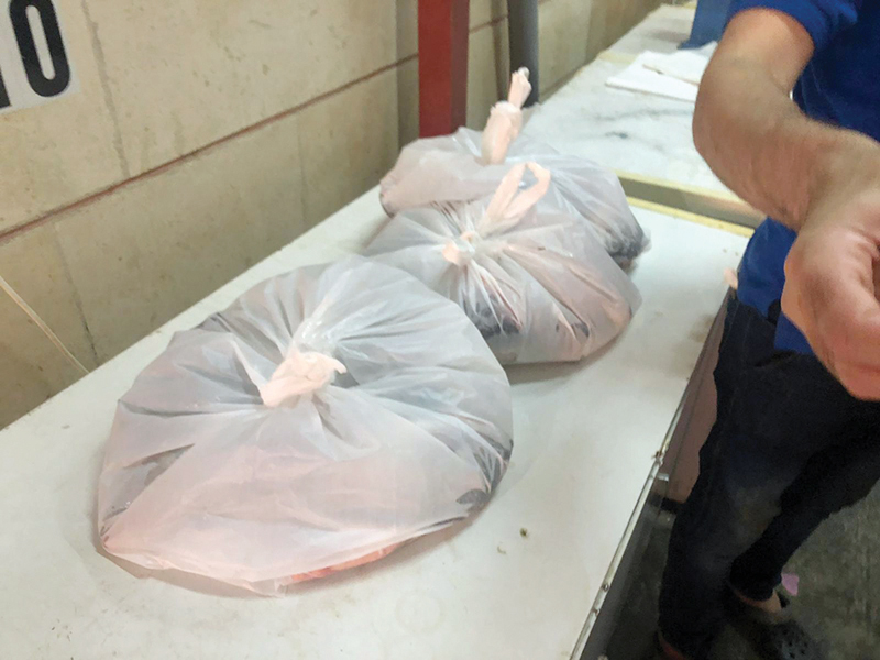 u062au062eu0632u064au0646 u0627u0644u0623u0633u0645u0627u0643 u0641u064a u0623u0643u064au0627u0633