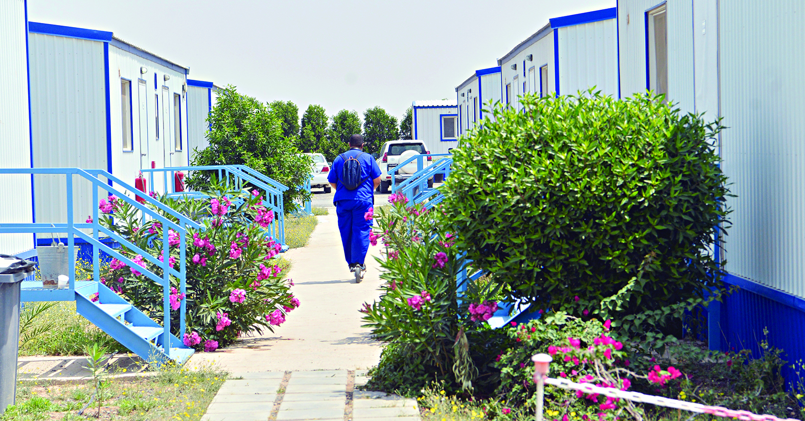 u0637u0628u064au0628 u064au0645u0627u0631u0633 u0627u0644u0631u064au0627u0636u0629 u0641u064a u062du062fu064au0642u0629 u0627u0644u0645u062du062cu0631                                               t          (u062au0635u0648u064au0631 u0646u0627u064au0641 u0627u0644u0639u0642u0644u0629)