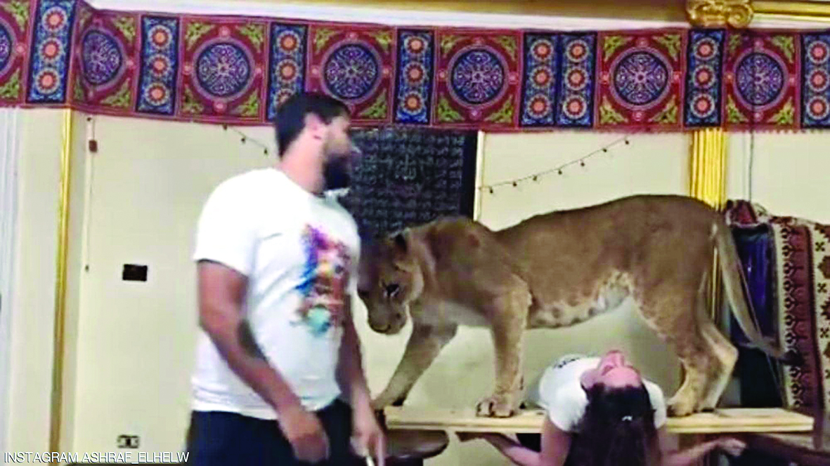 u0623u0634u0631u0641 u0627u0644u062du0644u0648 u064au062fu0631u0628 u0644u0628u0624u0629 u0641u064a u0645u0646u0632u0644u0647 