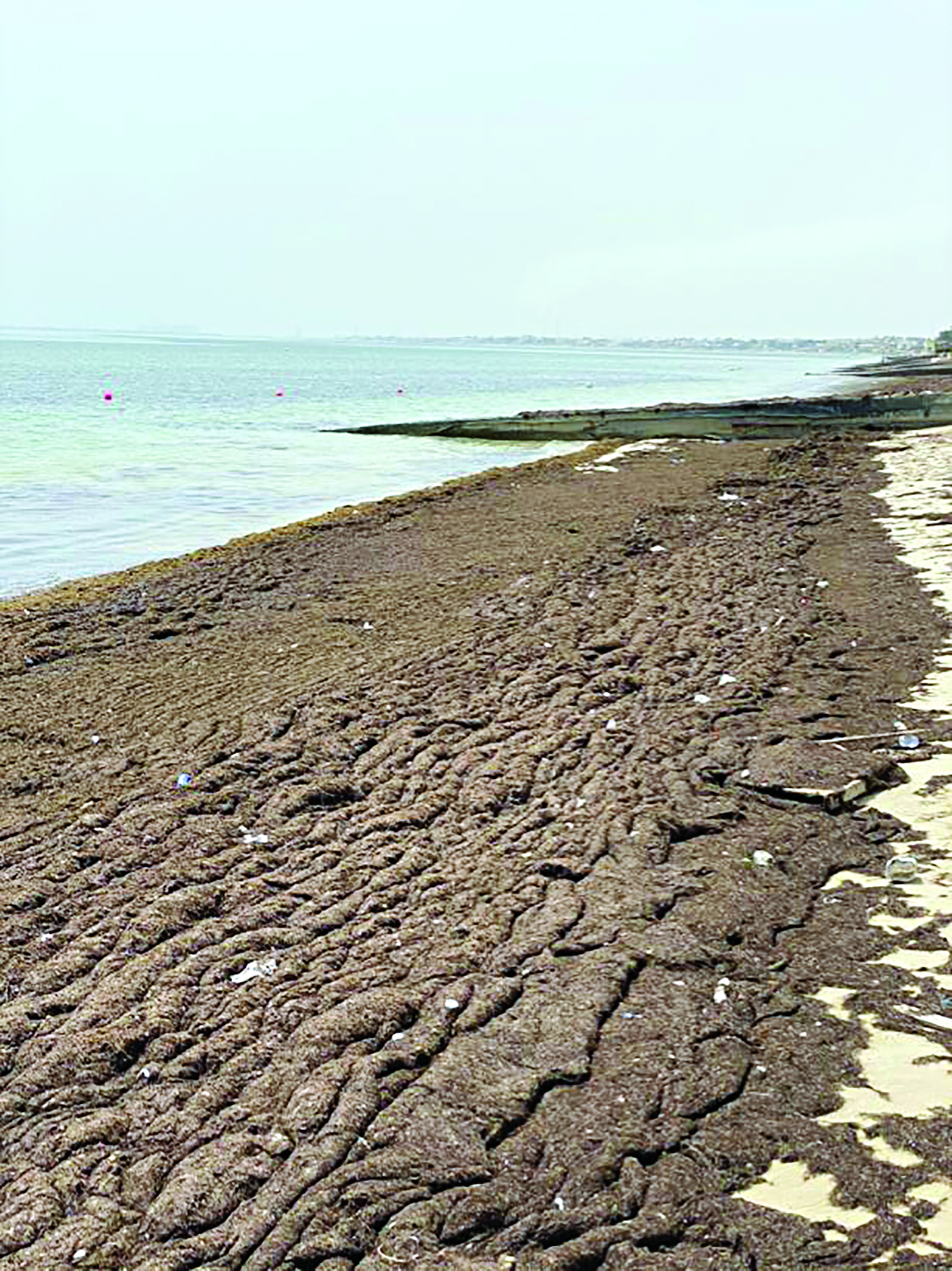 u0637u062du0627u0644u0628 u0639u0644u0649 u0623u062du062f u0634u0648u0627u0637u0626 u0627u0644u0643u0648u064au062a