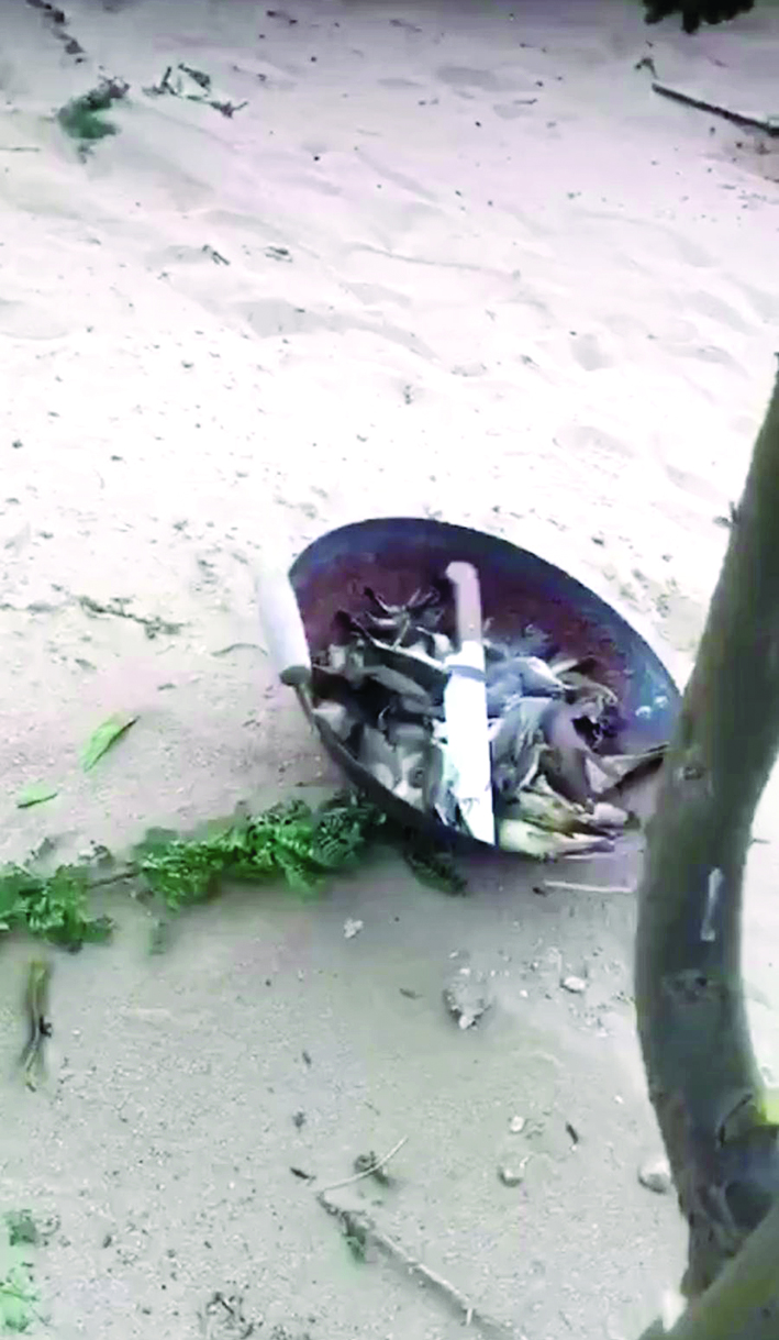 الضحايا بعد ذبحها